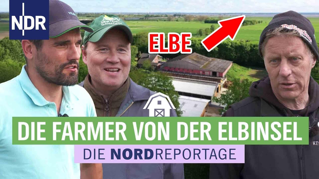 Drei Freunde und ihr Projekt 