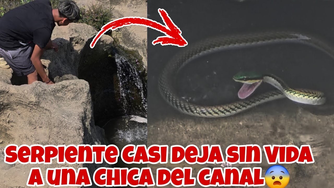 Tremendo Susto Nos Llevamos😨Serpiente Venenosa Casi Muerde a las Chicas Enpleno Rio😱