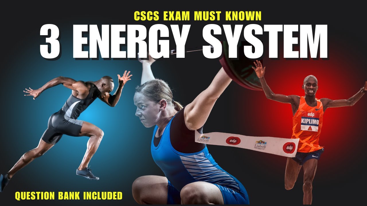 Master the 3 Energy Systems for the CSCS Exam | Must-Know Concepts & Questions!