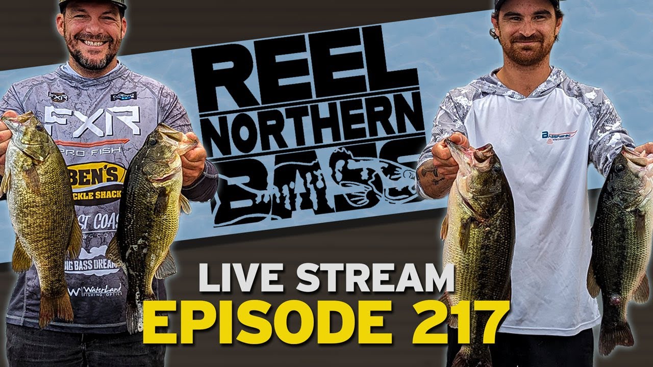 Reel Northern Bass Talk Livestream!