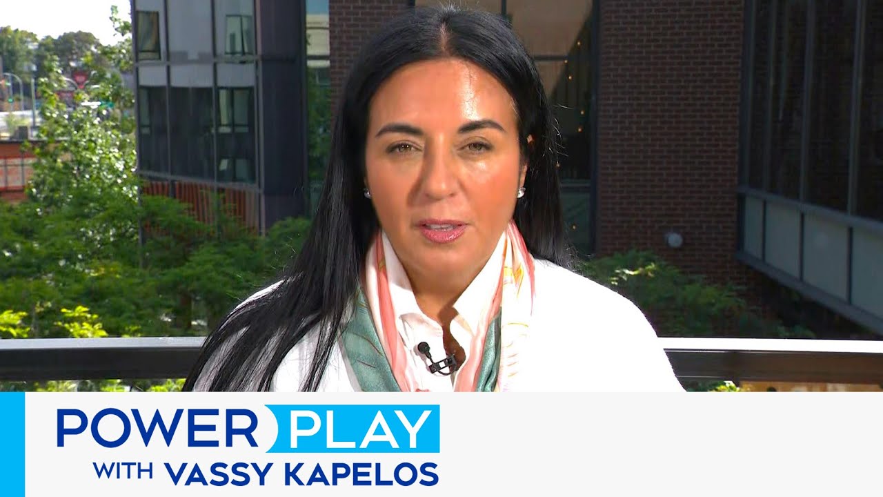 Purpose of new Liberal taskforce | Power Play with Vassy Kapelos