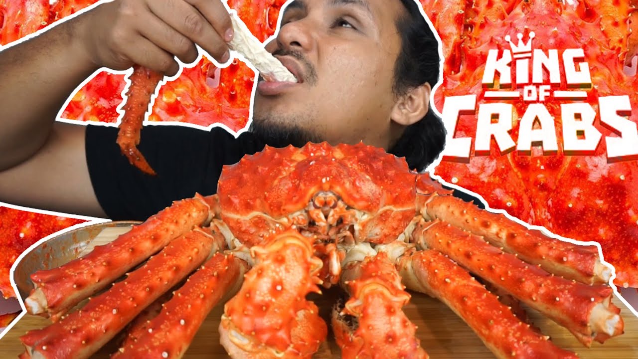 AKU MENYESAL BELI KING CRAB BERHARGA RM500 SEEKOR NI! (mukbang malaysia) ALASAKAN KING CRAB