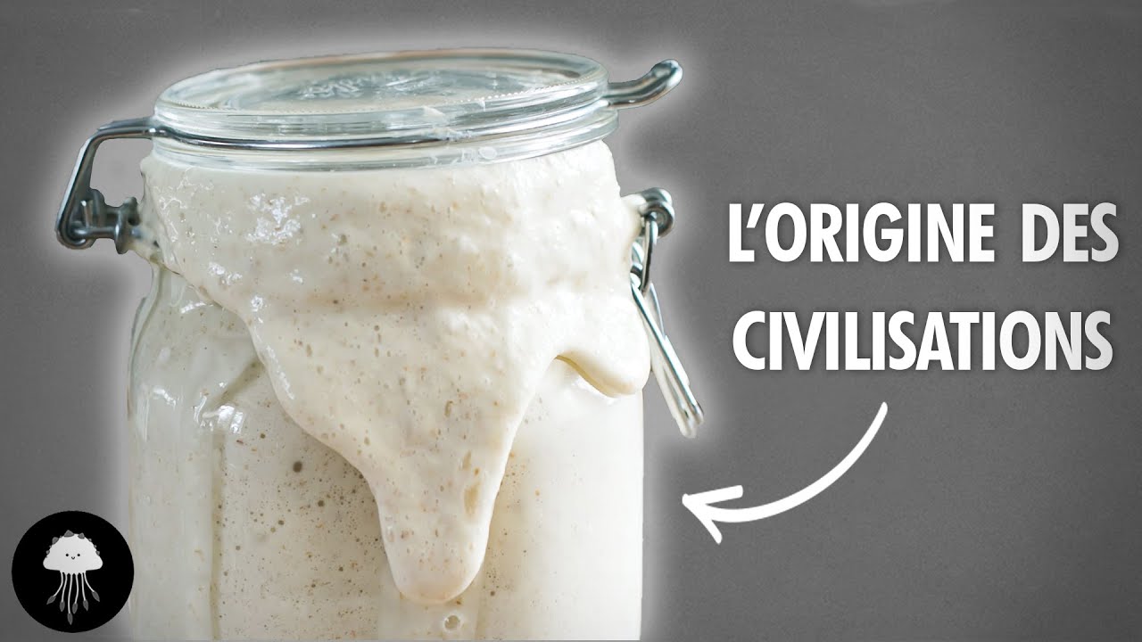 La moisissure, l'alcool, et l'origine des civilisations
