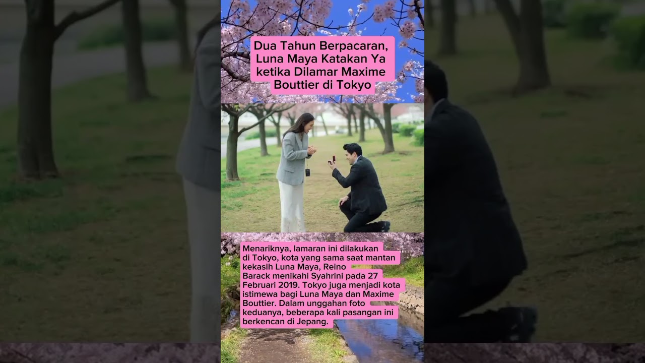 Romantis! Momen Luna Maya dilamar Maxime Bouttier di bawah sakura mekar #videoberita #beritaviral