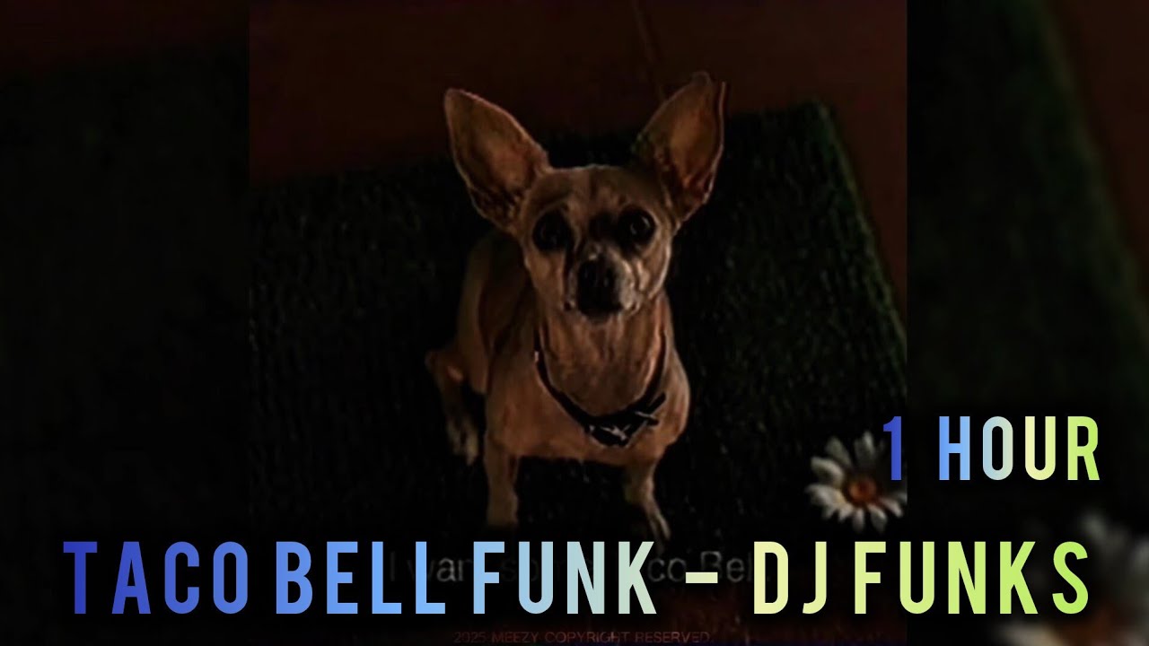 1 HOUR || 𝐓𝐀𝐂𝐎 𝐁𝐄𝐋𝐋 - 𝐃𝐣 𝐅𝐮𝐧𝐤𝐬, 𝐓𝐑𝐗𝐒𝐇𝐁𝐗𝐘 || SUPER SLOWED+REVERB || CHIHUAHUA EDIT