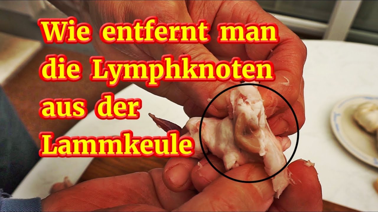 Wie entfernt man die Lymphknoten aus der Lammkeule.