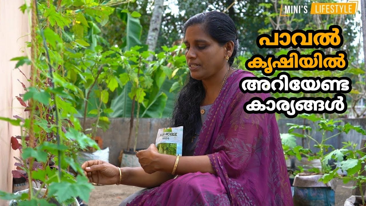 പാവൽ കൃഷിയിൽ അറിയേണ്ട കാര്യങ്ങൾ | Paval Krishi | Bitter Gourd Cultivation in Malayalam
