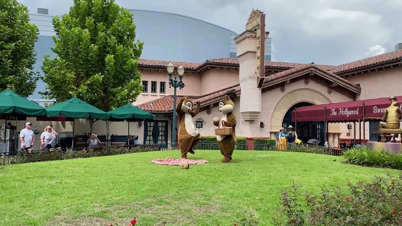 Chip and Dale Funny Moments in Disney's Hollywood Studios