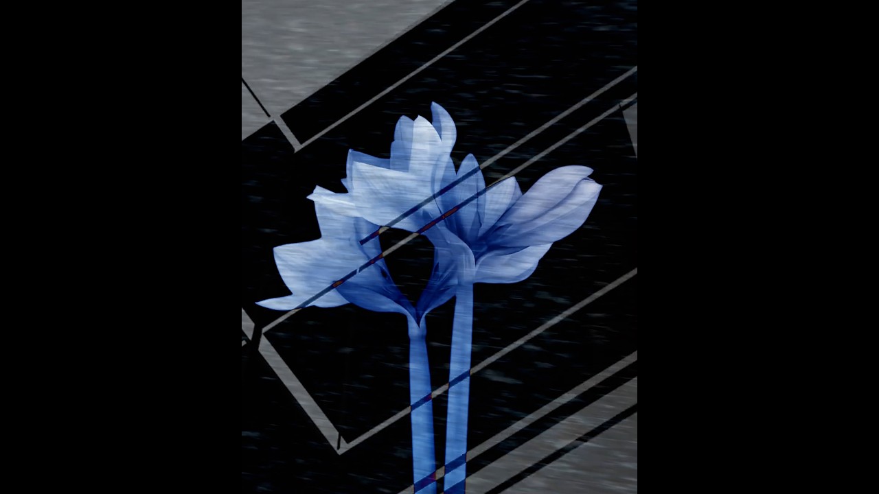 Inside Blur - Night-Blooming [LF001]