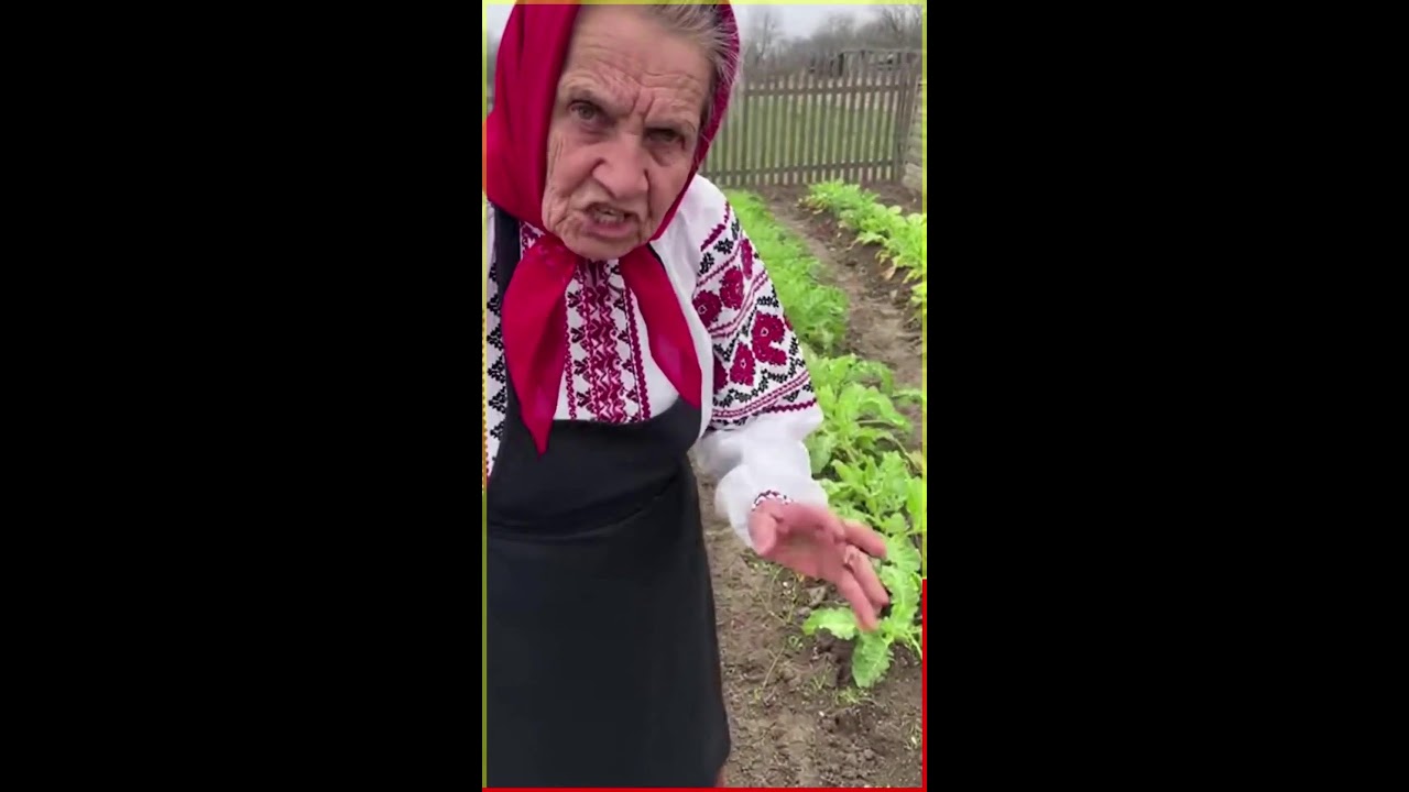 Cu și despre lumea inconjurătoare!