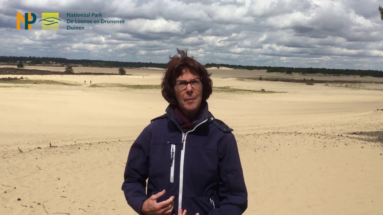 Natuur doet je goed! Nationaal Park De Loonse en Drunense Duinen