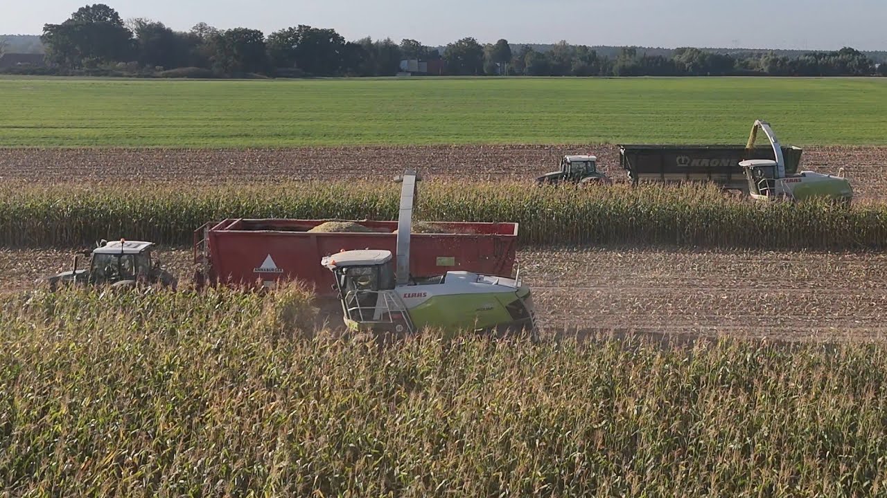 2 x CLAAS JAGUAR 950 häckseln Mais / mehrere FENDT & ein JOHN DEERE & fahren ab / 4K