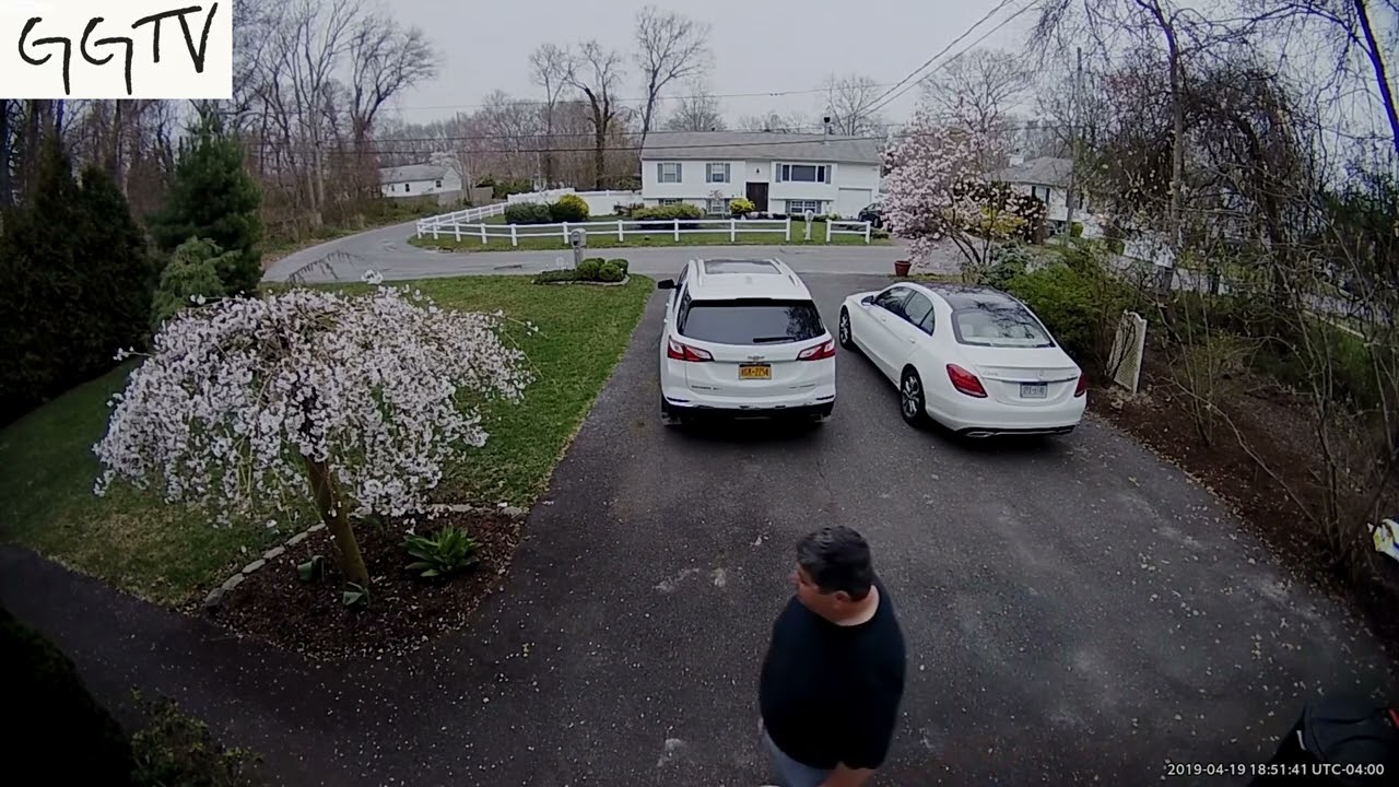 Ring doorbell farts - Compilation 2
