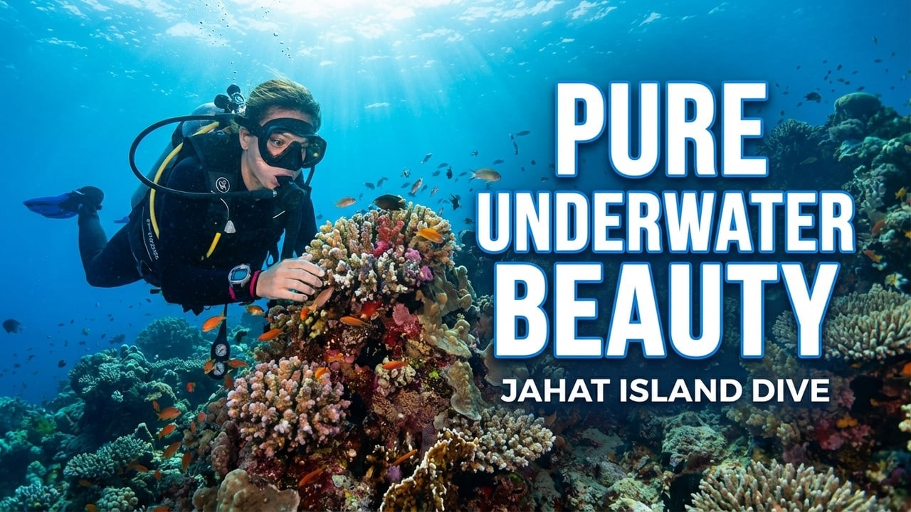 Jahat Island Dive Spot - Pure Underwater Beauty
