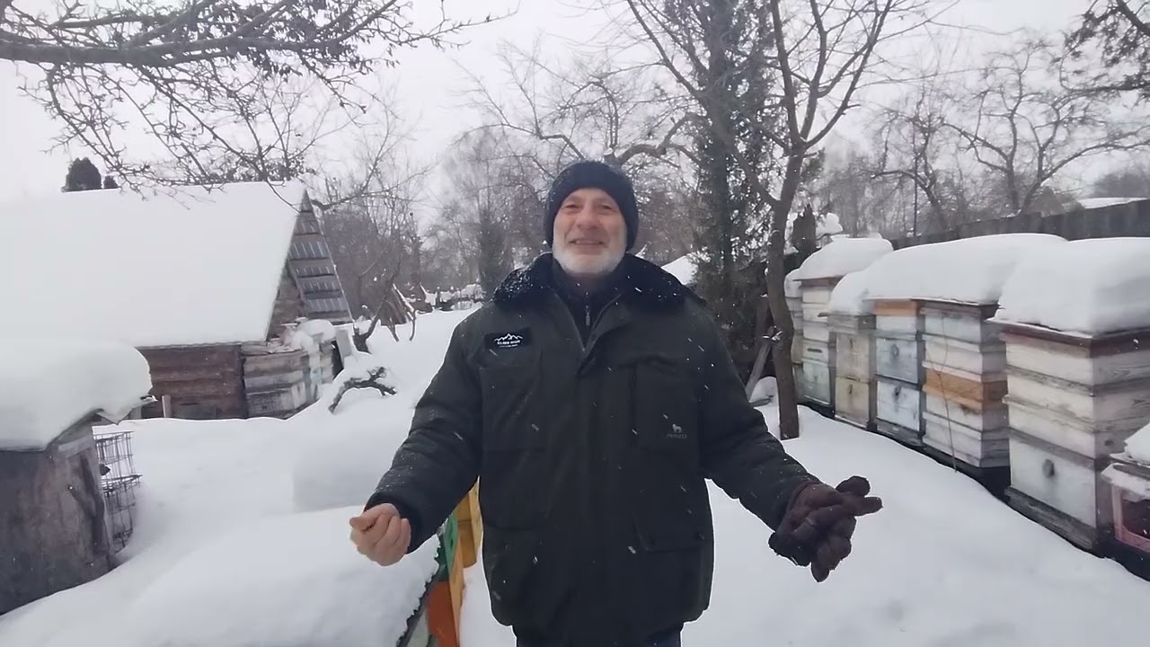 12. февраля. потеплело что надо сделать на пасеке.