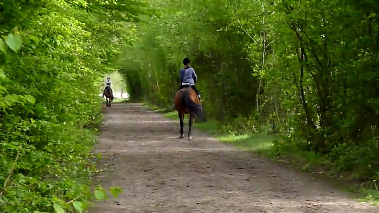 Pien galoppeert op Chianti bij Manege de Bongerd