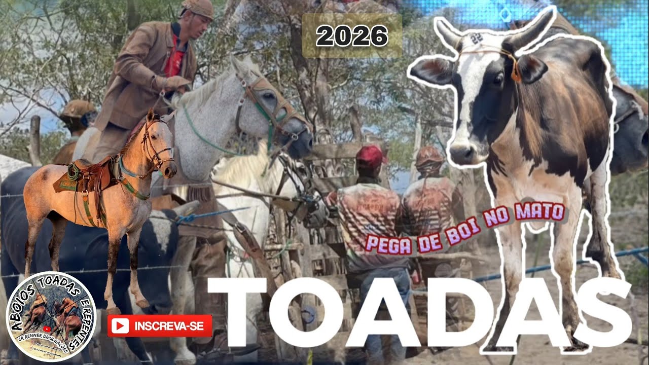 Especial Toadas de Gado 2026 ,  Boi Vaqueiro e Cavalos  - Aboios Toadas e Repentes 