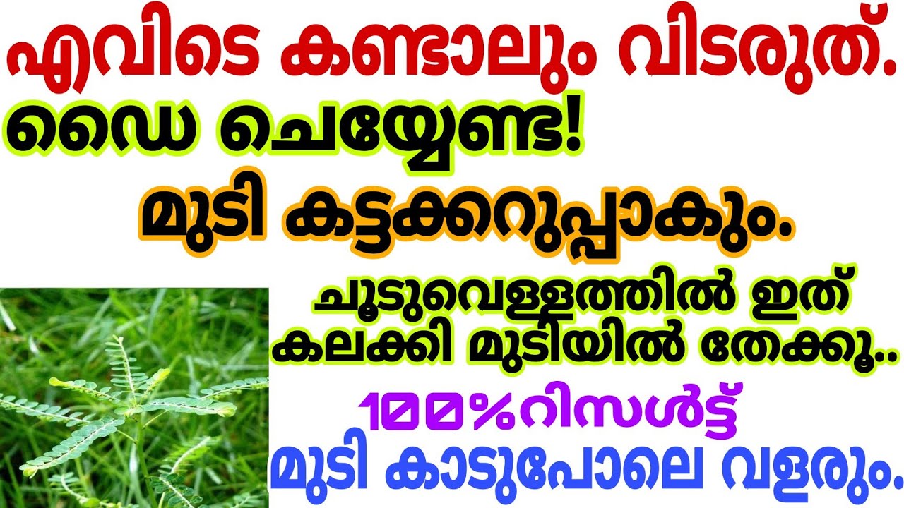 ഇനി ഡൈ ചെയ്യേണ്ട ഇത് ഒരു സ്പൂൺ ചൂടുവെള്ളത്തിൽ കലക്കി മുടിയിൽ തേക്കൂ നരച്ചമുടി ഒറ്റയുസിൽ കറുപ്പിക്കാം