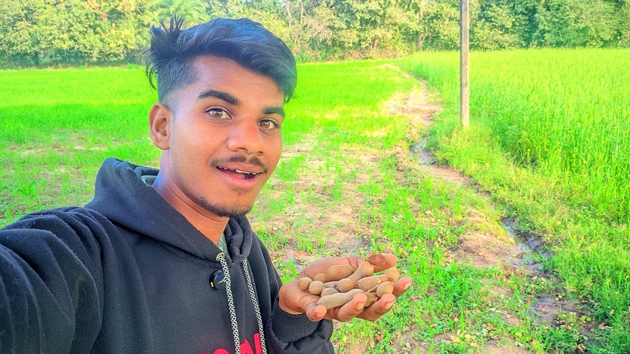 काफी समय बाद इमली खाने को मिली 🤤 | बचपन का स्वाद लौट आया!