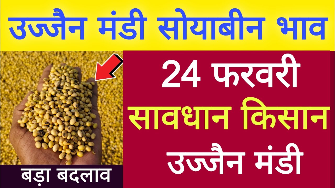 soyabin bhav Ujjain mandi l 24 February 2026 l ujjain mandi bhav Today l live bhav