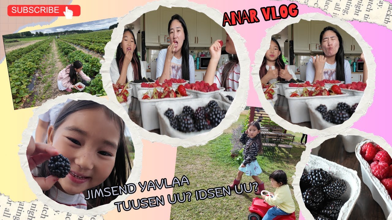 Жимс түүж, дурсамж бүтээсэн өдөр 🍓❤️🍓 #vlog 