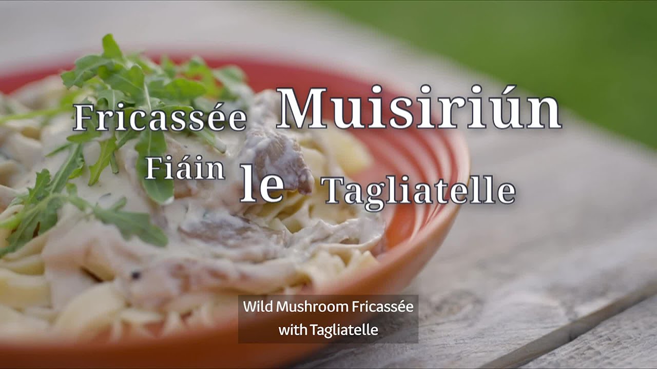 Planda go Pláta| Fricassée Muisiriún Fiáine - Wild Mushroom Fricassee with Tagliatelle (Vegan🌿) |TG4