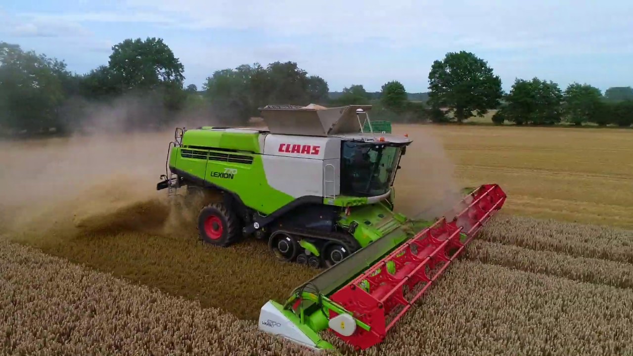 Weizen Dreschen / Claas Lexion 770 / Schleswig-Holstein