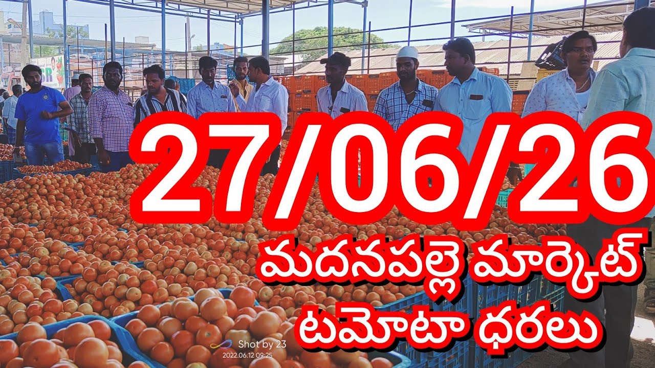06/27/24 Madanapalle Tomato Market Price Today || Today&rsquo;s Tomato Market Rate in Madanapalle #today