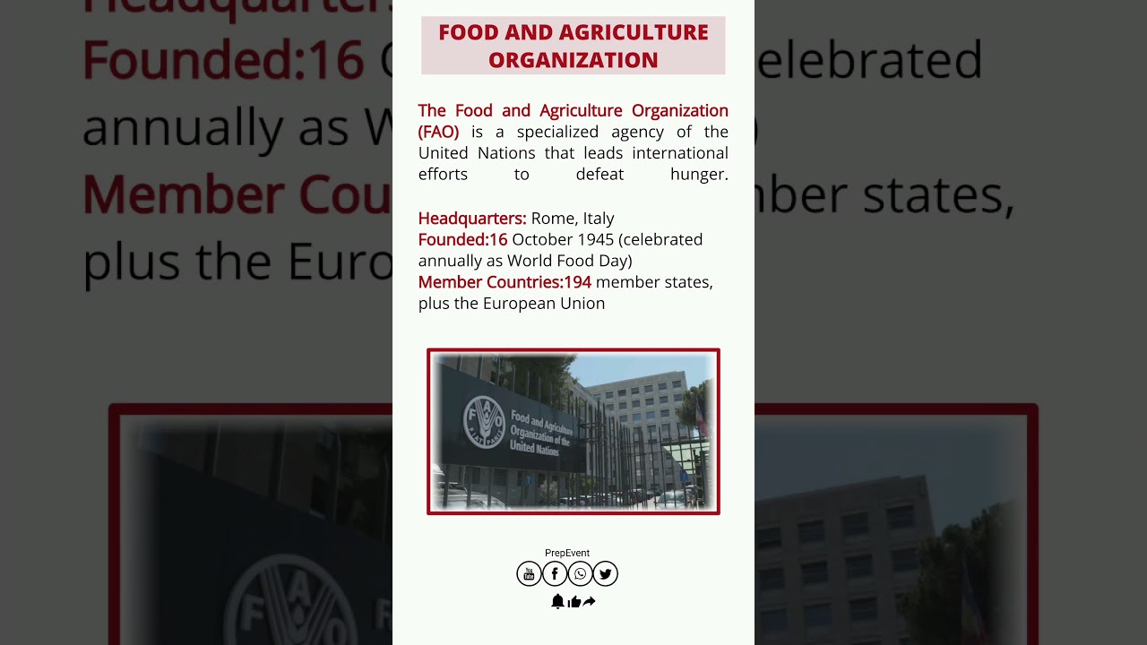 What is the FAO? | Food and Agriculture Organization of the United Nations