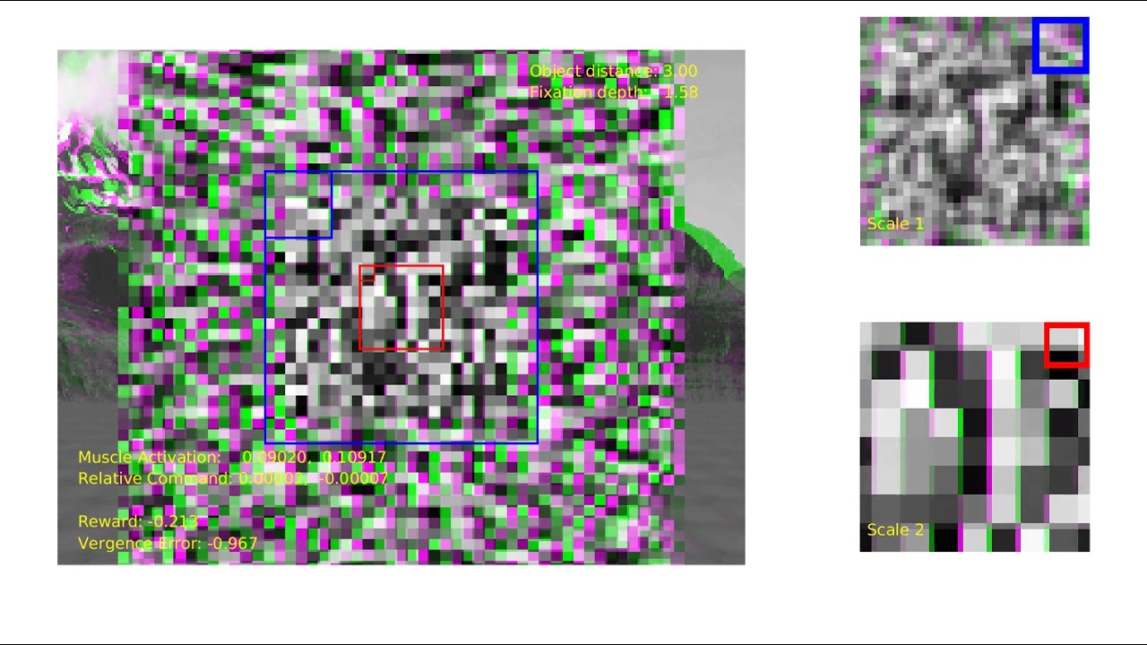Active Efficient Coding Model tested on Random Dot Stereograms