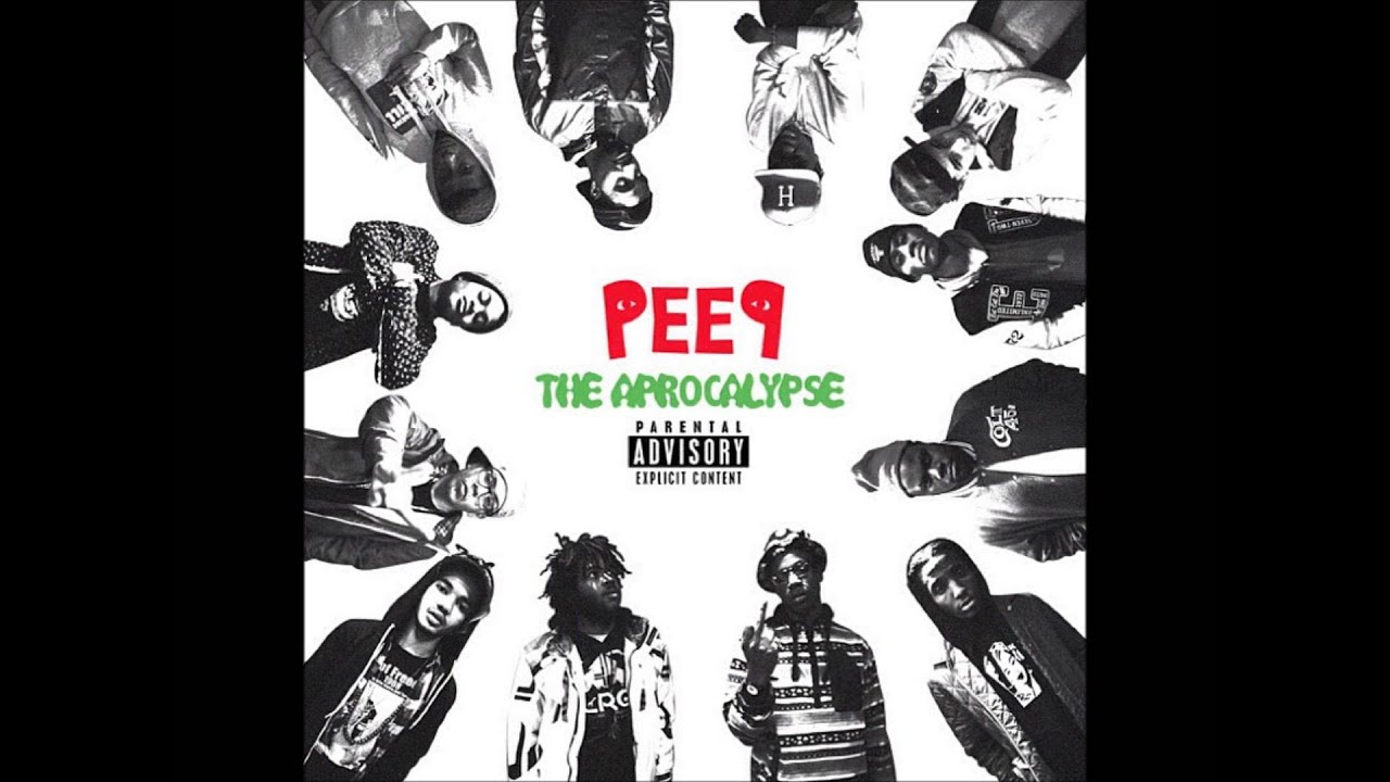 Pro Era - Vinyls
