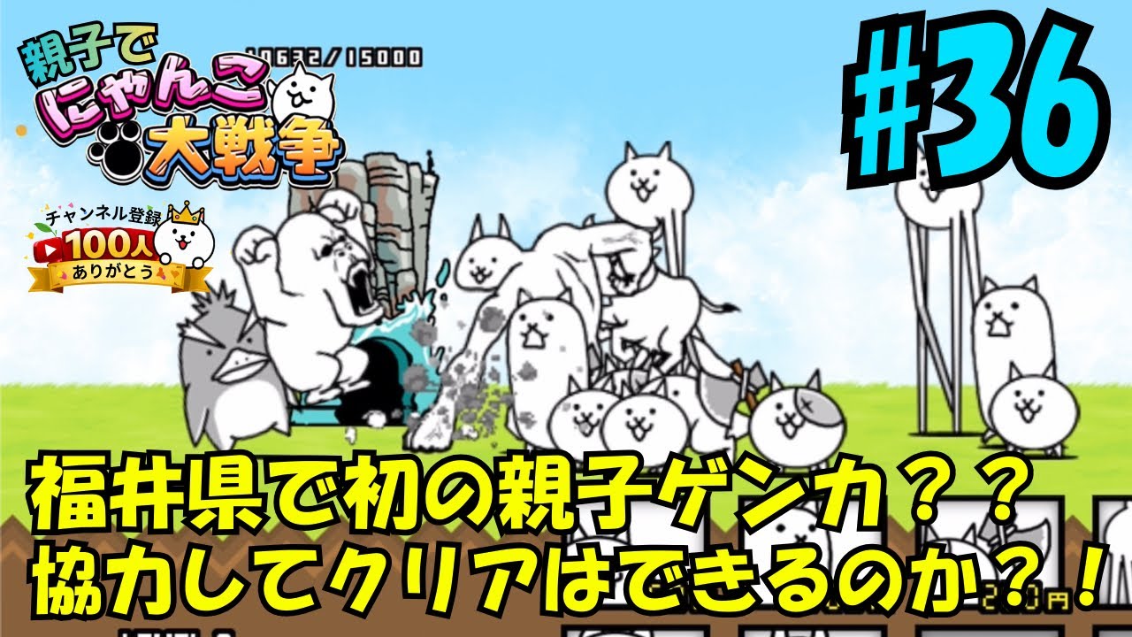 【36】福井県編。親子でにゃんこ大戦争