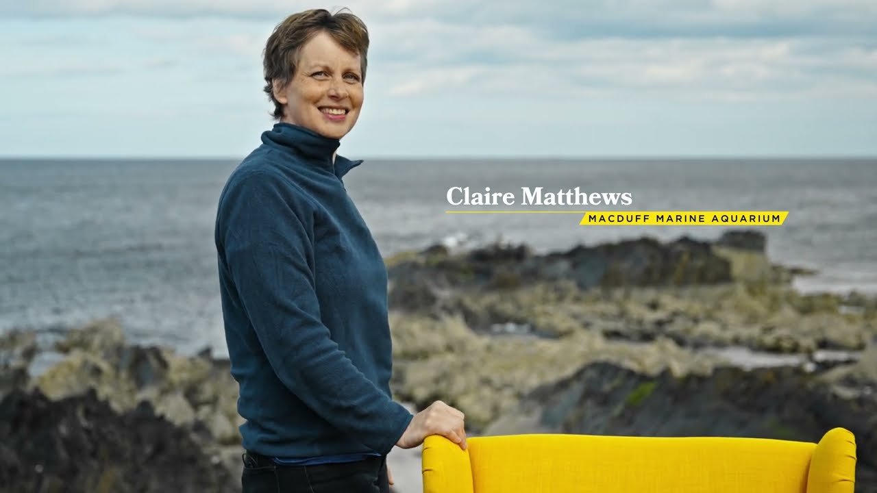 Visit Aberdeenshire | MacDuff Aquarium