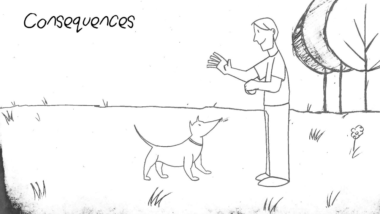 How Dogs Learn Animation Education