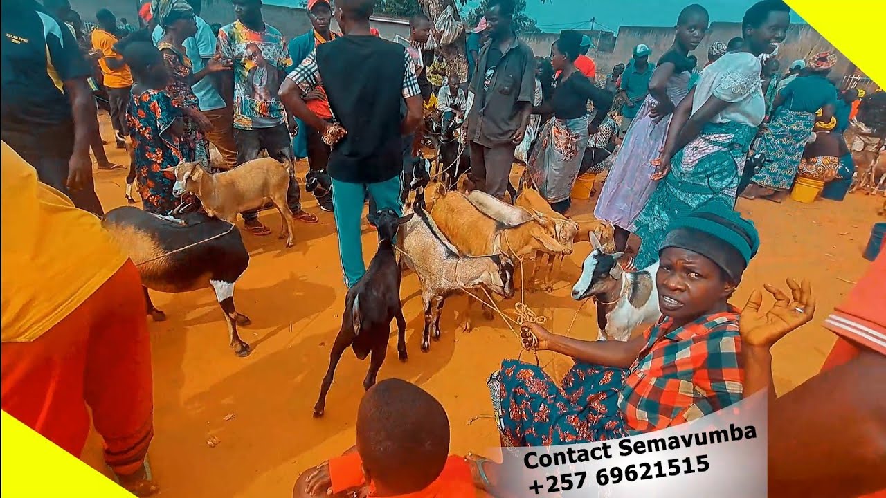 KARIBU MWI SOKO YA BUGANDA / IMIFUKO YUZUYE INDAGARA / IBIFUNGURWA BIRASESEKA I BUGANDA / IMICERI...