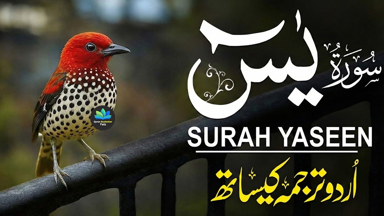 Surah Yasin - Heart Trembling Recitation by Qari Mansoor Ghaznavi | Urdu & Hindi Translation