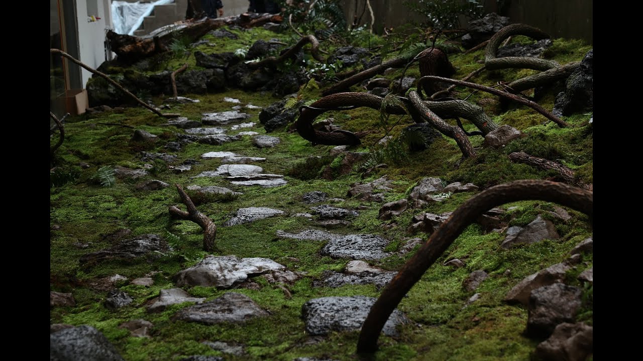 자연의 이끼숲을 가져온 비밀의 이끼 정원 만들기 The Secret Moss Garden That Brought Nature's Moss Forest