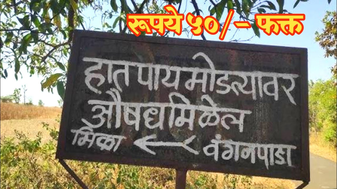 💊 हात-पाय मोडल्यावर औषध – पालघर मोखाडा | भिकाजी दुधवडे 💊 रामबाण उपाय जालीम औषध 
