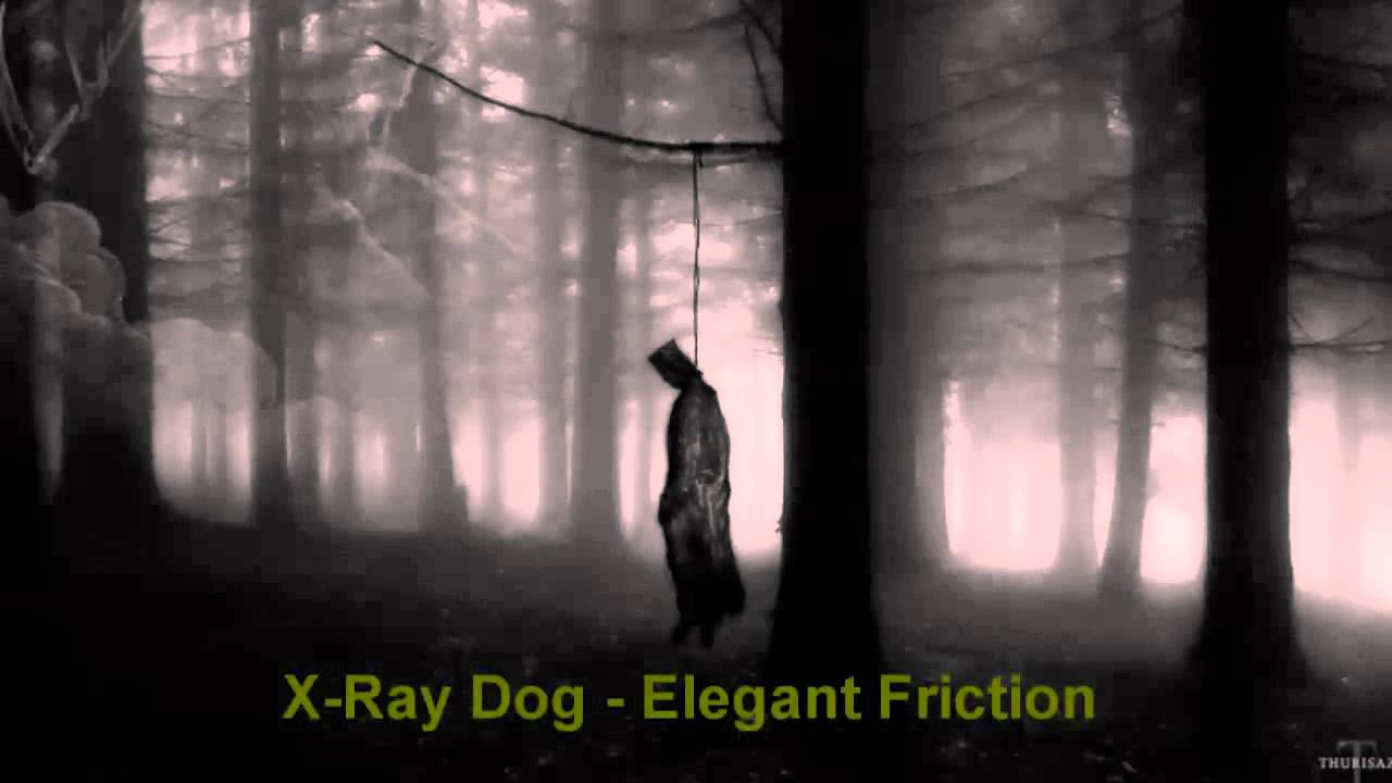 X-Ray Dog - Elegant Friction