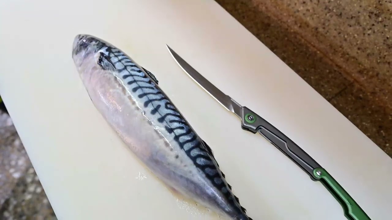 【RGH】We Knife/Civivi Shawka 隨時處理你的漁獲