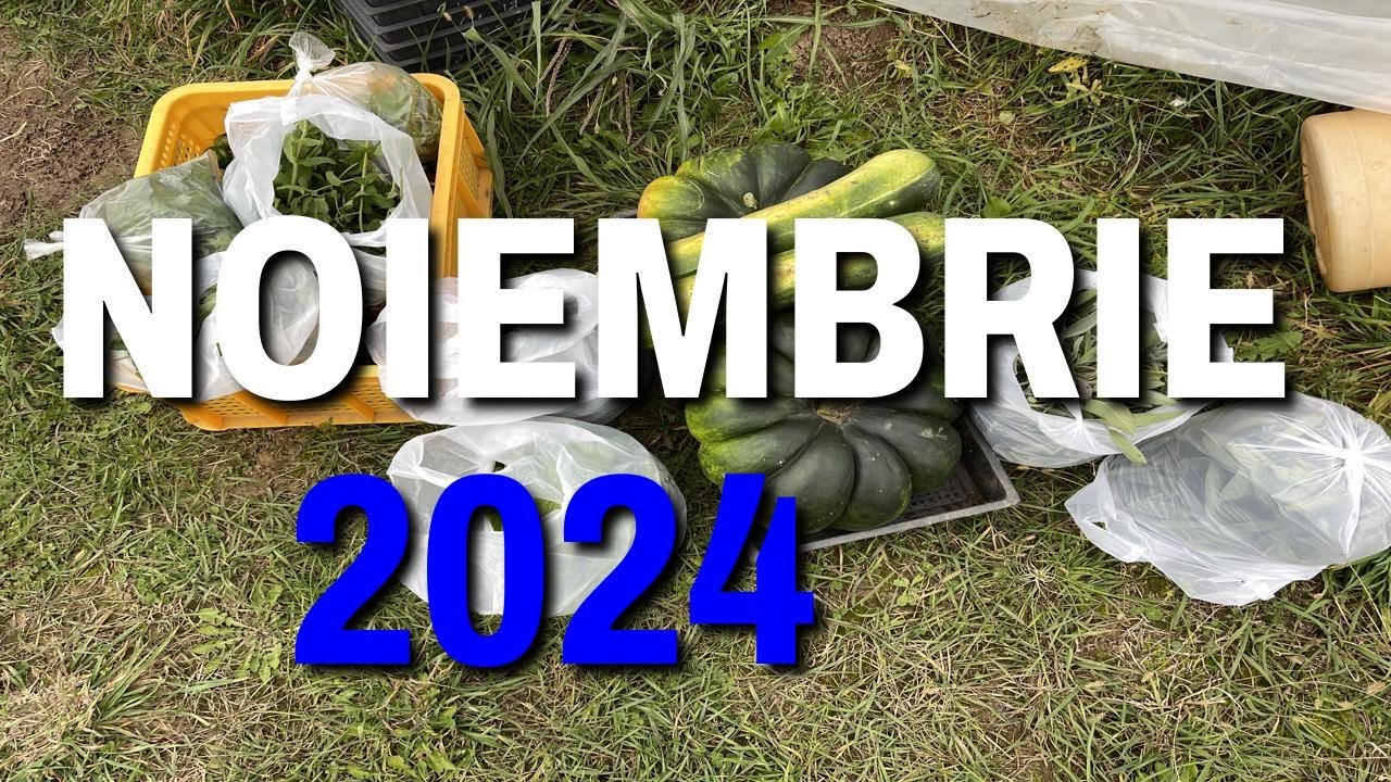 Gradina di la Tara - NOIEMBRIE 2024