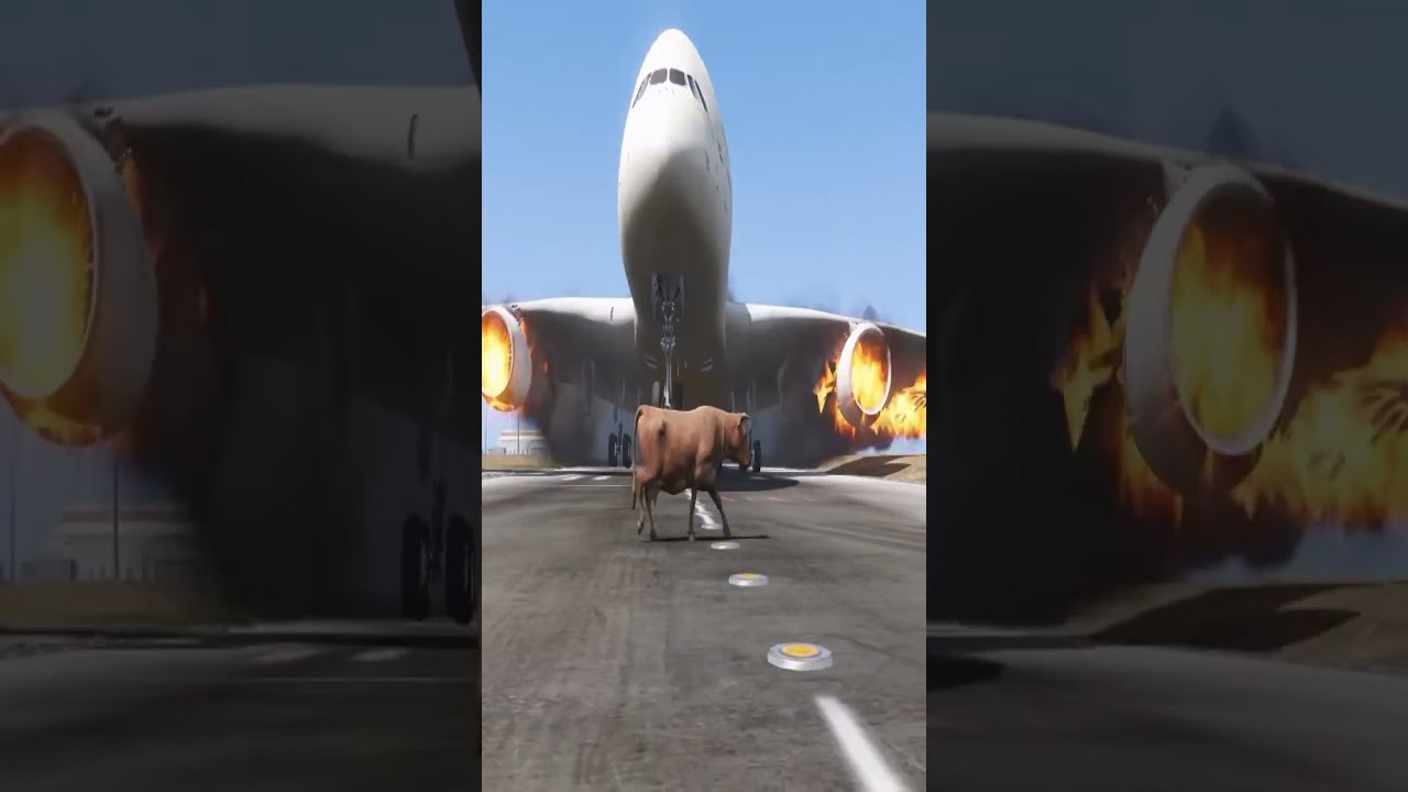 Cow accidentally Come Runway During Airplane Landing