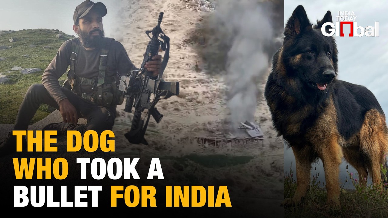 Army Dog Tyson Shot in Kishtwar Encounter, Helps Kill Top JeM Commander Saifullah