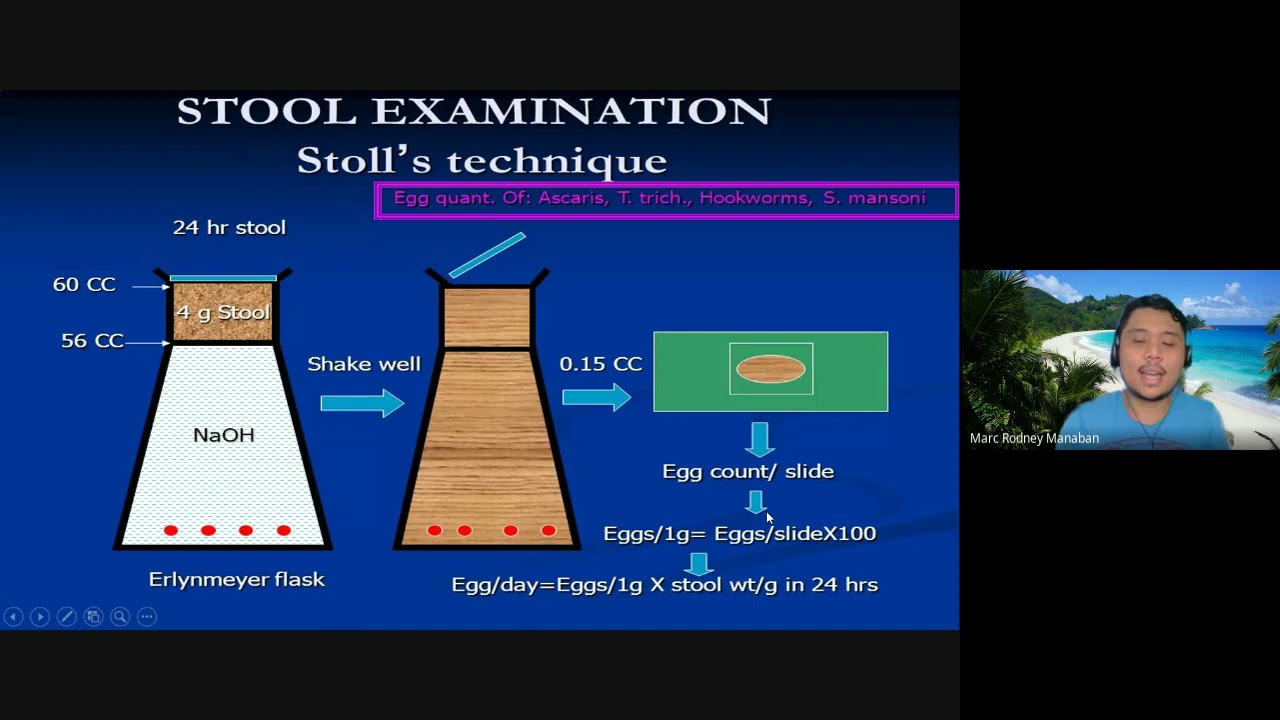 MT 51: Didactics | Parasitology Review (Diagnostic Parasitology Part 2)