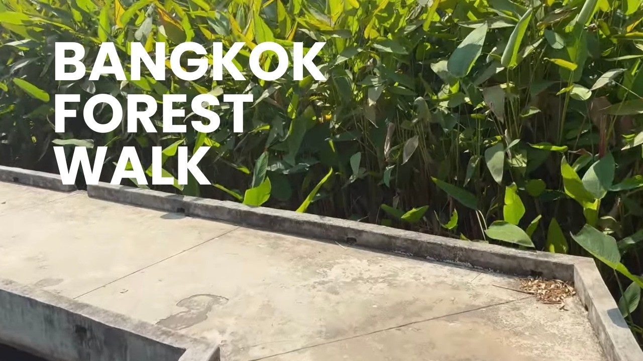 Bangkok Escape 🌿 A Hidden Forest Morning Walk | 4K Nature Sounds