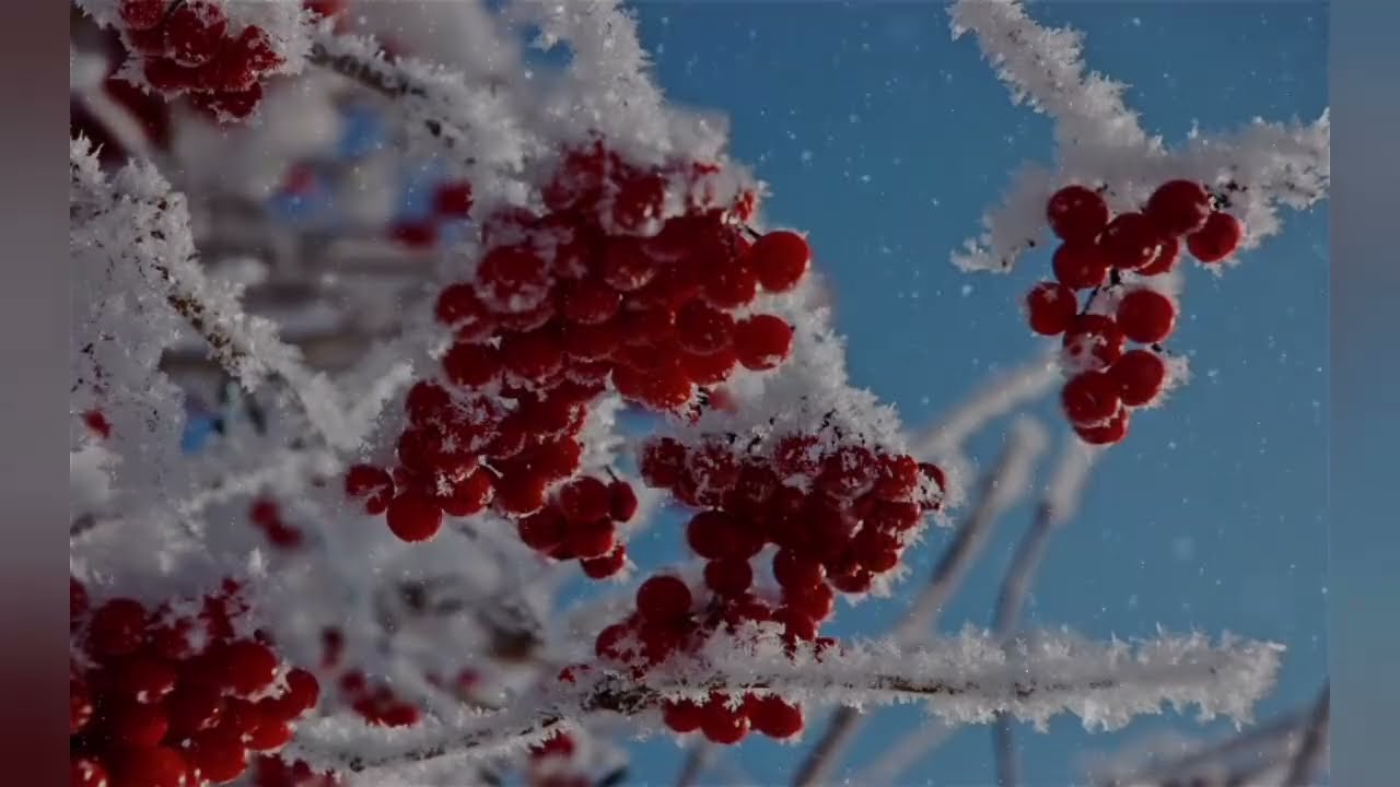 28 февраля последний день зимы ❄️ 