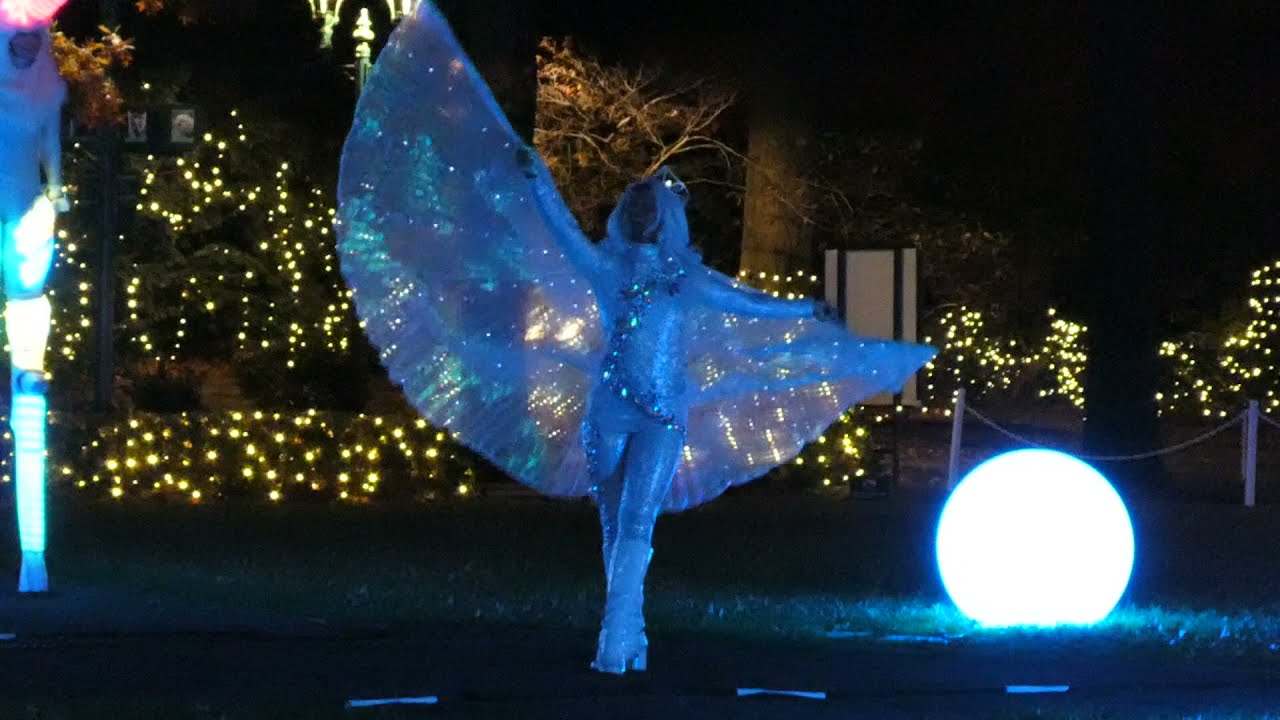 Bronx Zoo Holiday Lights Performance 2021
