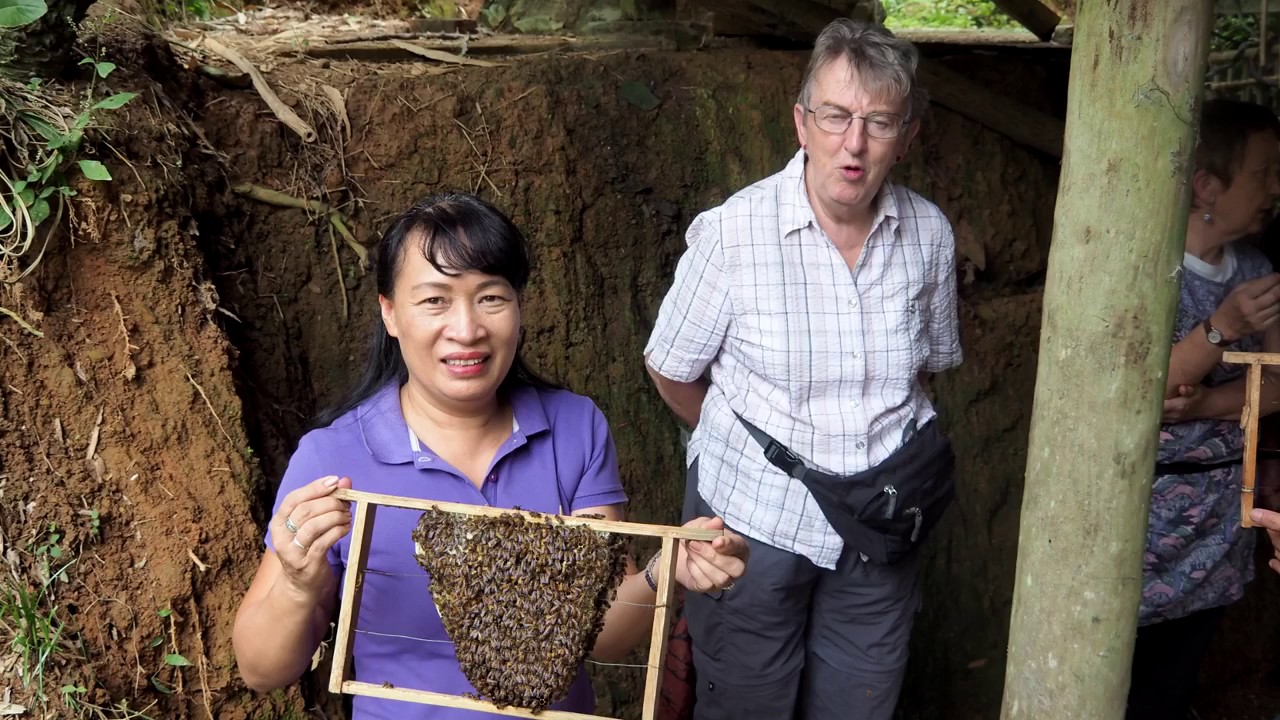 Пчеловодство во Вьетнаме. Beekeeping in the Vietnam