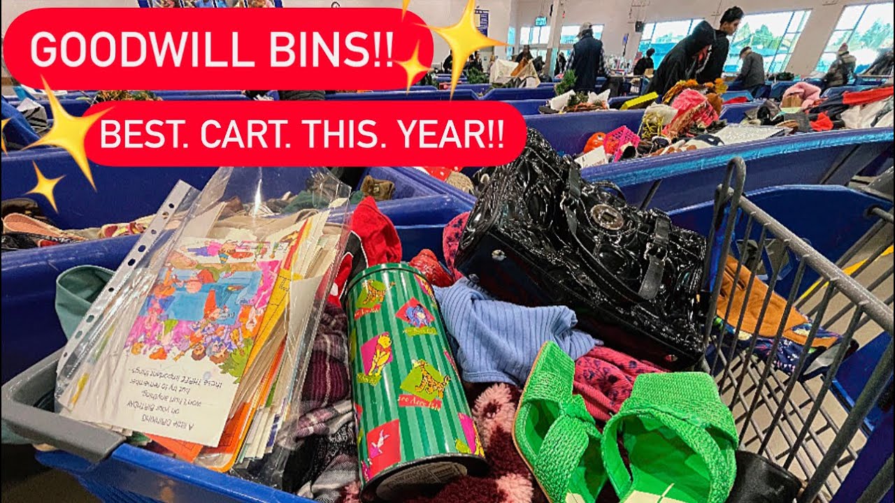 Let’s GO To Goodwill Bins!! A Mini ✨GOLDMINE✨Of Treasure! Thrift 30 Pounds With Me! ++HAUL!!