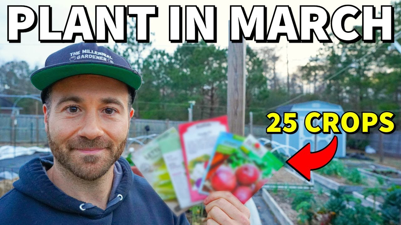 25 Veggies You Can Plant In March RIGHT NOW!